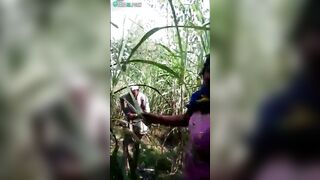 Sneaky Indian lovers are caught by stranger with camera in cornfield