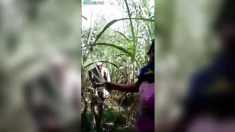 Sneaky Indian lovers are caught by stranger with camera in cornfield