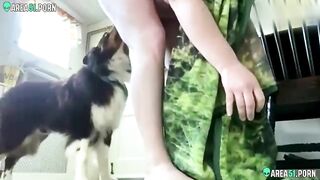 Dog Gral Sex - Indian girl having sex with dog videos XXX video on Area51.porn