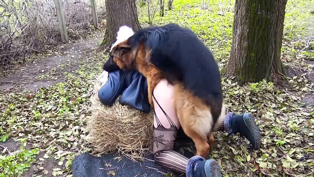Naughty wife lets the dog fuck her hole, first time public outdoor