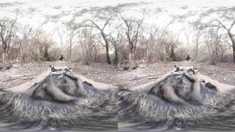 Czech blonde Angel Piaff sucks and rides cock in VR video