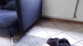 Pig-tailed XXX hottie gets on all fours to get banged in doggy style