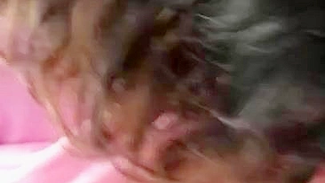 Teen Muslim slut with big tits blows XXX cock for money in POV video