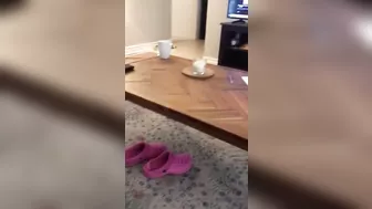 Horny Iraqi bitch shows her hairy XXX twat and plays with it in POV