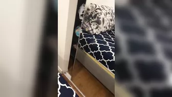 Filthy Arabian XXX wife cheats on her hubby with the other stud