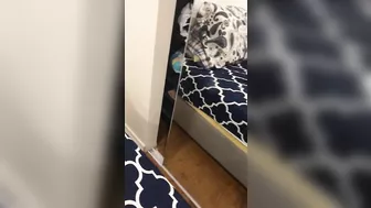 Filthy Arabian XXX wife cheats on her hubby with the other stud Filthy Arabian XXX wife cheats on her hubby with the other stud