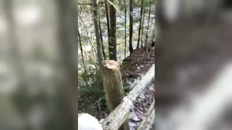 Outdoor anal XXX session of sexy Turkish babe and her horny man