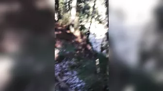 Outdoor anal XXX session of sexy Turkish babe and her horny man