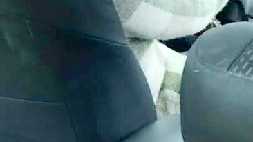 Lustful man jerks off his XXX dick to the female driver in the car