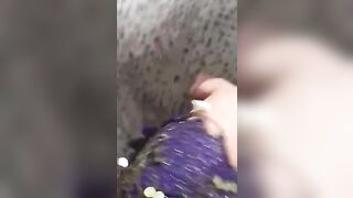 Young Arab woman shakes asshole filming herself doing XXX belly dance