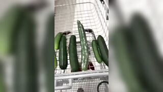 Arab mom gladly takes cucumbers of different size for XXX show at home