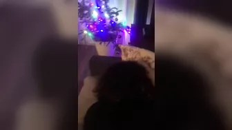 Bull fucks his mature Arab mom in the ass in this first-person XXX porn