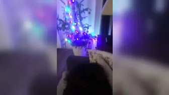 Bull fucks his mature Arab mom in the ass in this first-person XXX porn