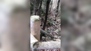 Shy Syrian mom in hijab is coerced into a XXX blowjob in the woods