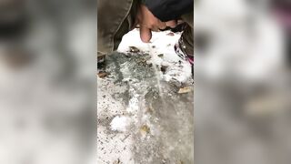 Winsome mom exposes juicy cunt when she pisses in outdoor XXX video