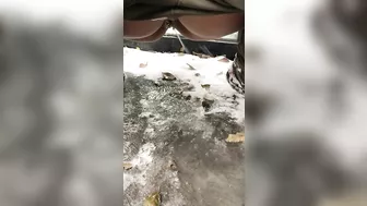 Winsome mom exposes juicy cunt when she pisses in outdoor XXX video