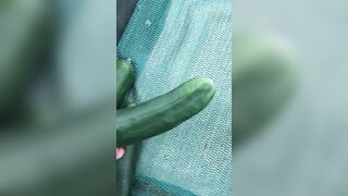 Muslim mom searches for vegetables that will become her XXX toys