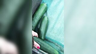 Muslim mom searches for vegetables that will become her XXX toys