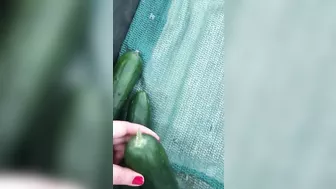 Muslim mom searches for vegetables that will become her XXX toys