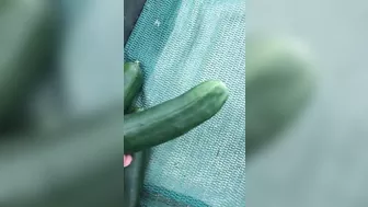 Muslim mom searches for vegetables that will become her XXX toys
