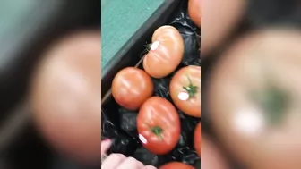 Muslim mom searches for vegetables that will become her XXX toys