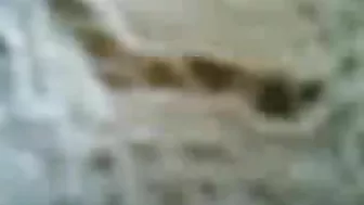 Arab mom shakes her body while dancing and gets fucked by husband