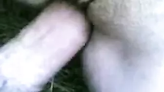 Close-up video of mature mom taking dick into shaved twat outdoors