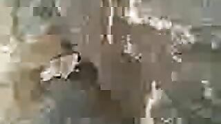 Scandalous video of filthy Arab mom getting fucked on the beach