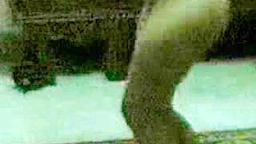 Shameless Arab mom demonstrates her curves while dancing all naked