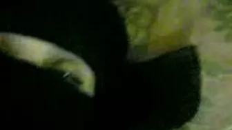 Arab mom hides her face under hijab when having her pussy plowed Arab mom hides her face under hijab when having her pussy plowed