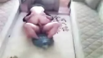 Arab hidden camera catches slim mom riding man's dick in cowgirl