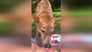 I found videos on my sister's, dog eats her pussy outside | AREA51 ...