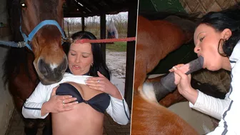 Horse XXX video on Area51.porn