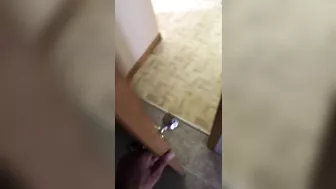 Busty Arab mom shares passionate titjob XXX perversions