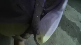 Full Arab amateur POV grants hijab milf the best outcome