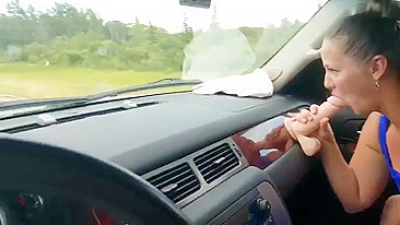 Wife dildo fuck while husband drives