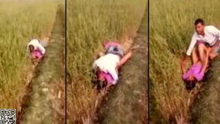 XXX Desi viral, village couple lovers caught adultery in the rice field