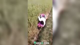 XXX Desi viral, village couple lovers caught adultery in the rice field