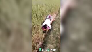 XXX Desi viral, village couple lovers caught adultery in the rice field