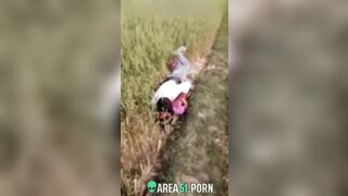 XXX Desi viral, village couple lovers caught adultery in the rice field