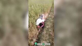 XXX Desi viral, village couple lovers caught adultery in the rice field