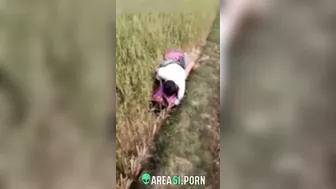 XXX Desi viral, village couple lovers caught adultery in the rice field