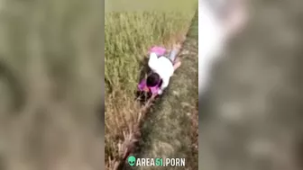 XXX Desi viral, village couple lovers caught adultery in the rice field