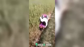 XXX Desi viral, village couple lovers caught adultery in the rice field