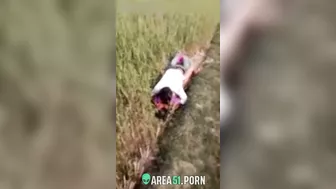 XXX Desi viral, village couple lovers caught adultery in the rice field