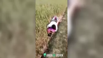 XXX Desi viral, village couple lovers caught adultery in the rice field