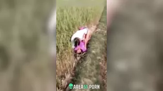 XXX Desi viral, village couple lovers caught adultery in the rice field