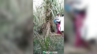 Desi lover outdoor fucking, on the quiet MMS record by local guy