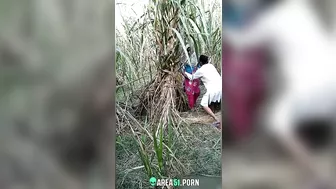 Desi lover outdoor fucking, on the quiet MMS record by local guy