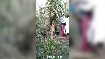 Desi lover outdoor fucking, on the quiet MMS record by local guy